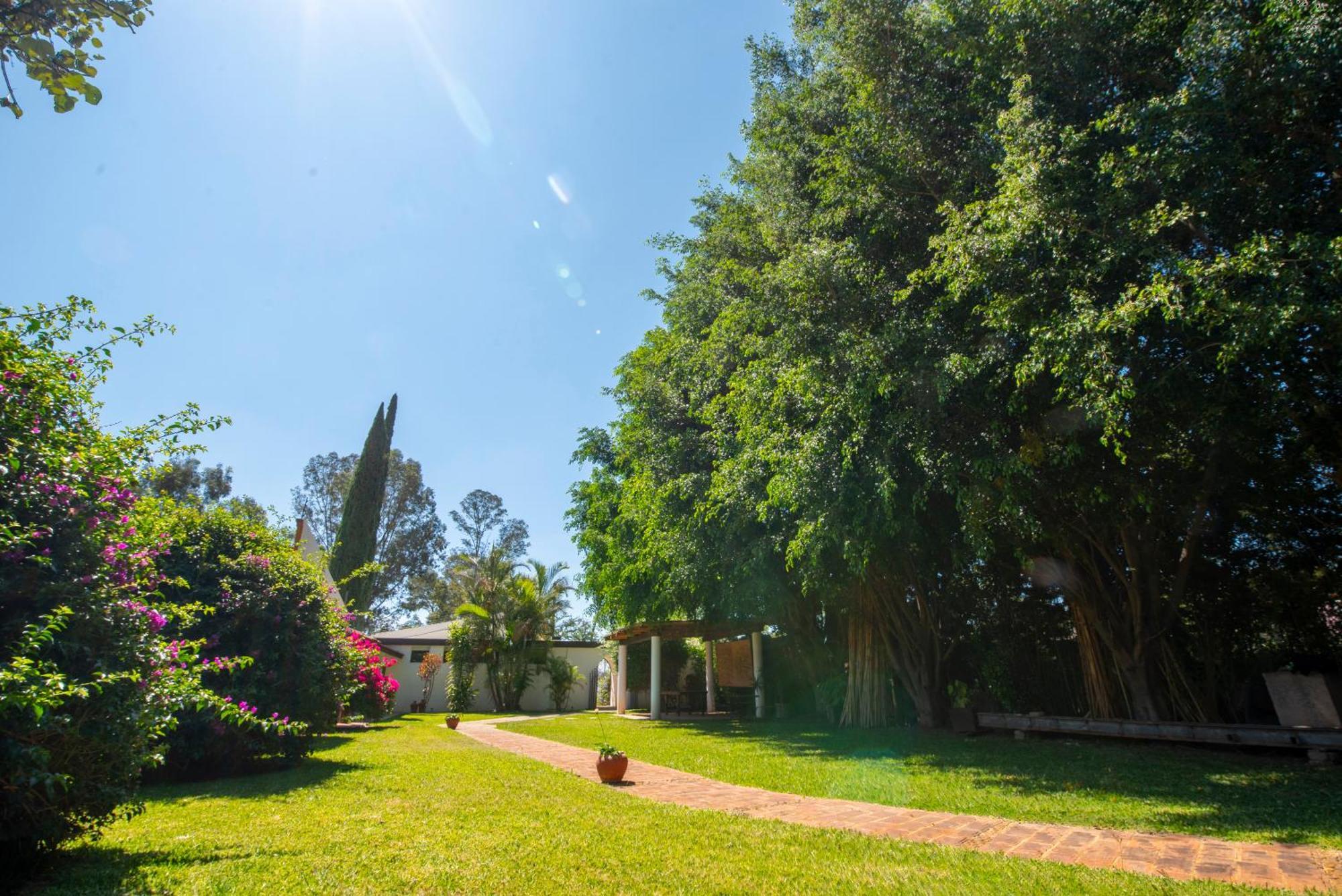 Villa Borghese Hotel Boutique - Adults Only Oaxaca 外观 照片