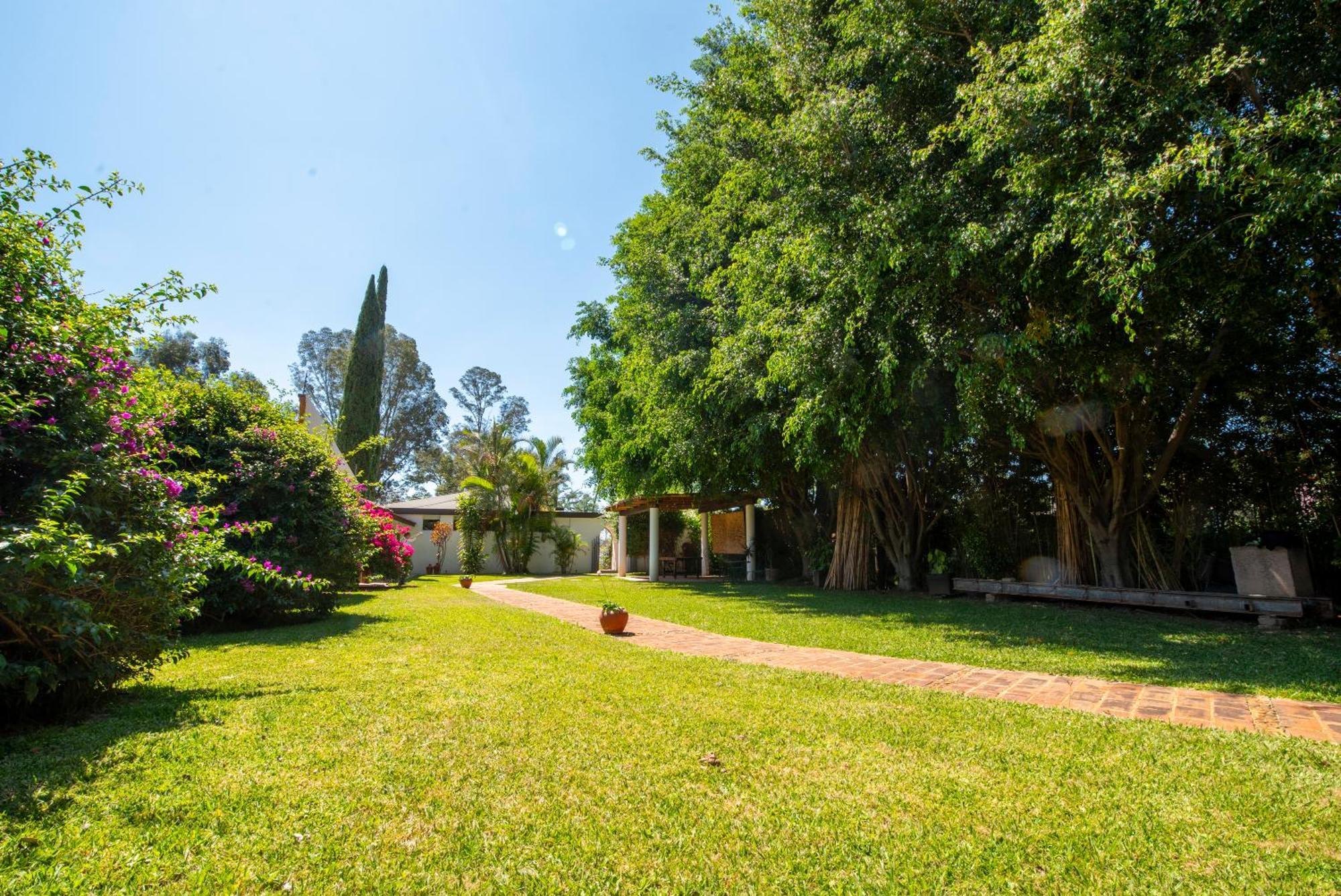 Villa Borghese Hotel Boutique - Adults Only Oaxaca 外观 照片